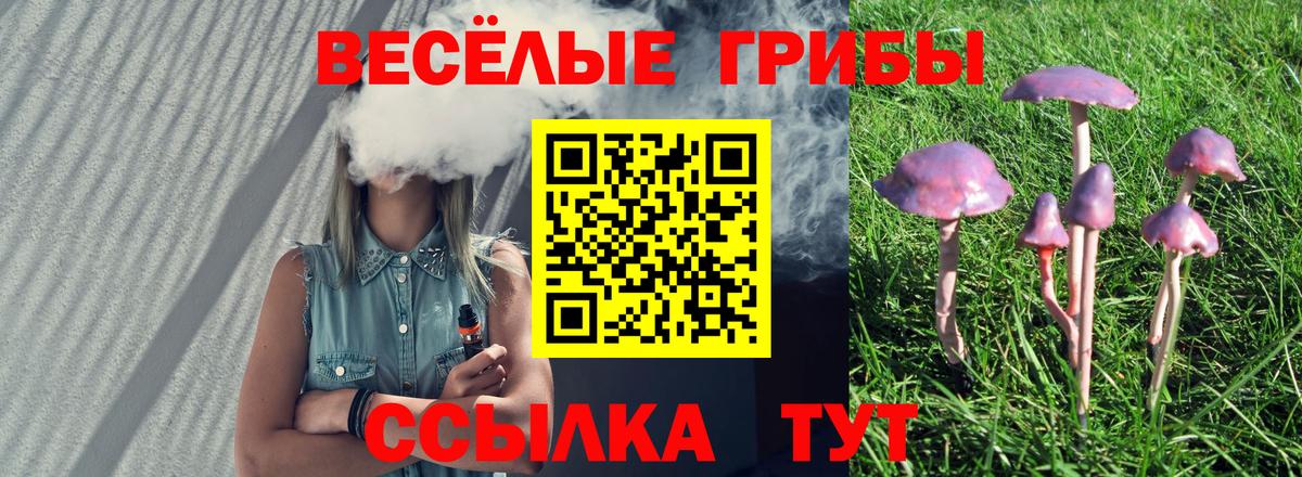 Галлюциногенные грибы Magic Shrooms Звенигород