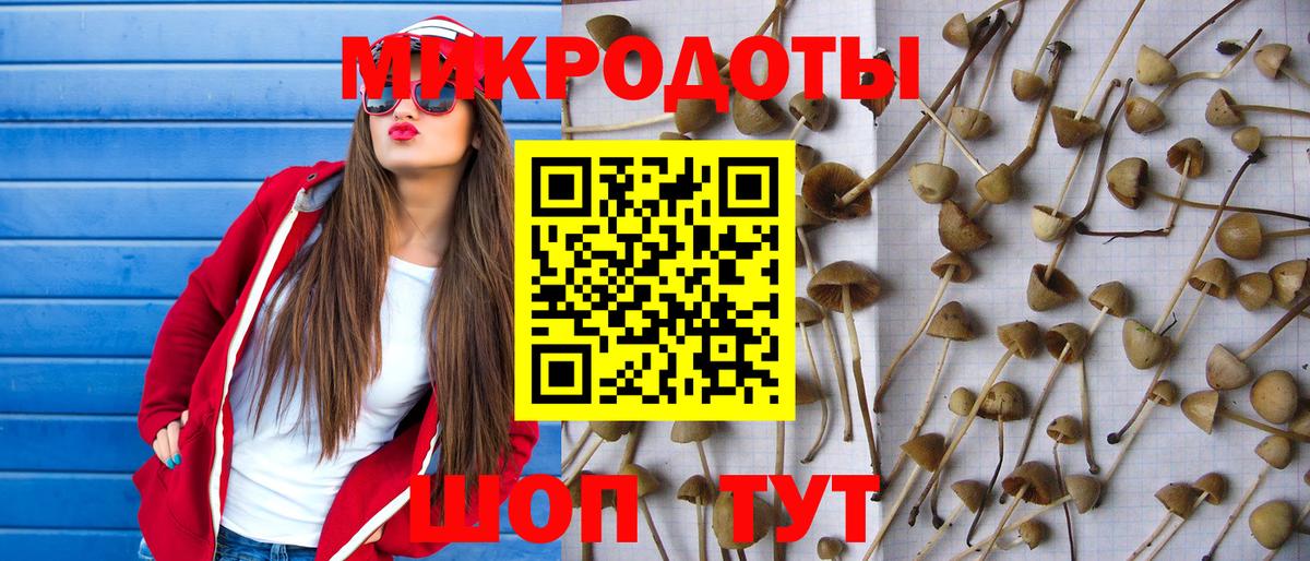 цена наркотик  Вход с VPN  Звенигород  Галлюциногенные грибы мухоморы 