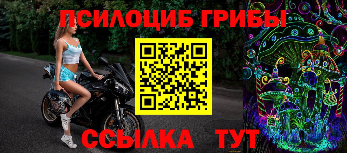 Псилоцибиновые грибы GOLDEN TEACHER  Псилоцибиновые грибы MAGIC MUSHROOMS  Звенигород 